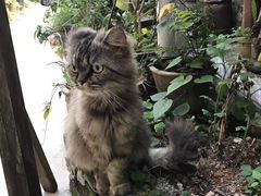 -老屋咖啡