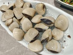 -濠七糟粕醋·椰子鸡火锅(上海首店)
