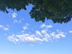 -叁拾壹克饺子·东北菜(国贸店)