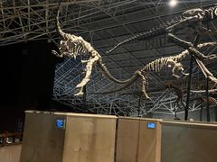 -世界恐龙谷景区