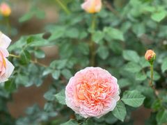 -人民公园(罗湖区)