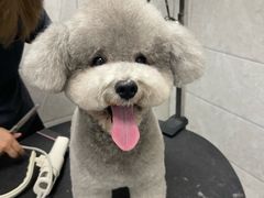 -芭比堂动物医院·24小时·眼科中心(深圳中心)