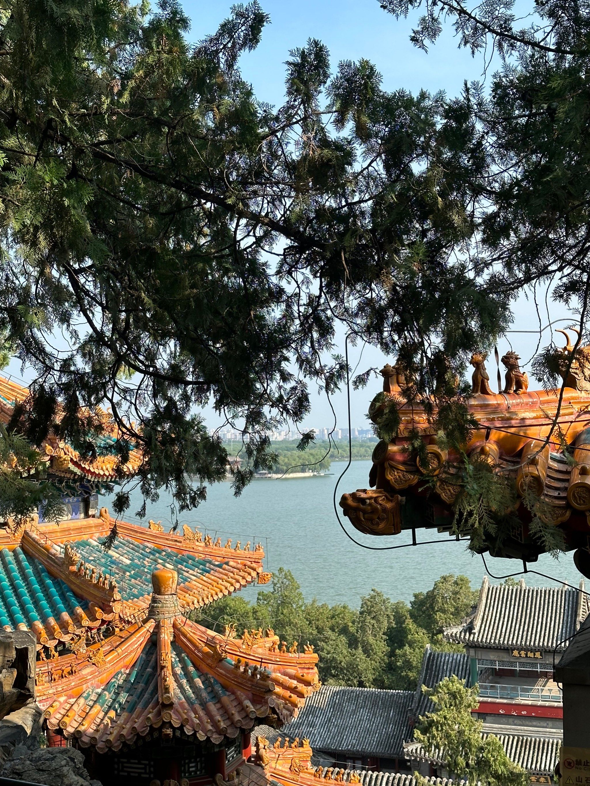 不愧是慈禧老佛爷的后花园,绝美!