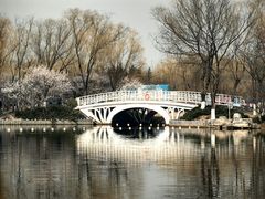 -大兴滨河森林公园