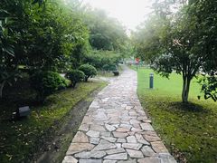 -白塘生态植物园