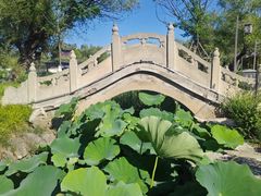 -中国翰园碑林