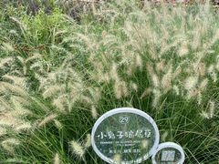 -中国杭州低碳科技馆