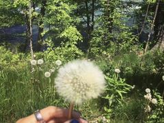 -尼亚加拉瀑布州立公园