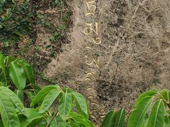 -华侨城湿地公园