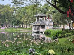 -荔湾湖公园