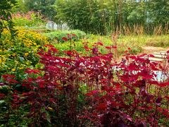 -国家植物园南园