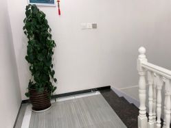 -痘博士昆明·国际祛痘领跑品牌