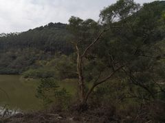 -南宁良凤江国家森林公园