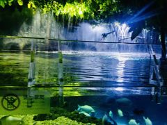 -成都浩海立方海洋公园