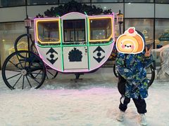 -世界之窗阿尔卑斯冰雪世界
