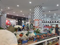 -宝燕乐园(春申店)