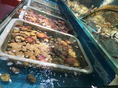 -港畔赶海蒸汽海鲜烧烤自助(仙螺岛店)