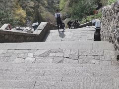 -泰山风景名胜区