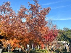 -狼山风景名胜区