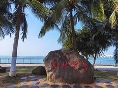 -万绿园