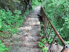 -云岫谷游猎自然风景区