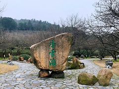 -香雪海