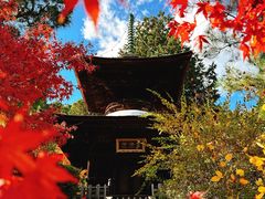 -常寂光寺