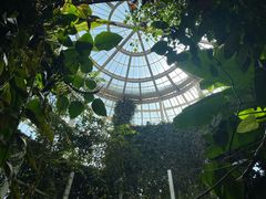 -昆明植物园