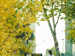 -重庆市江北嘴中央商务区中央公园