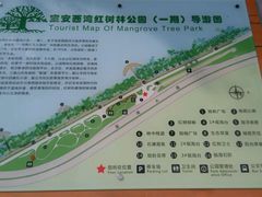 导游图-宝安西湾红树林湿地公园