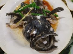 -四姑娘川味海鲜(八爪鱼店)