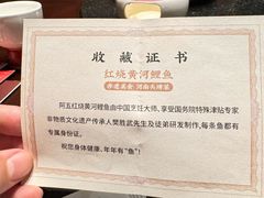 -阿五黄河大鲤鱼(建业路店)