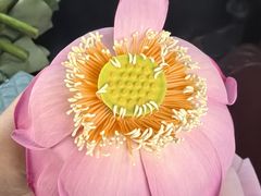 -大唐饭庄·炒鸡(总店)