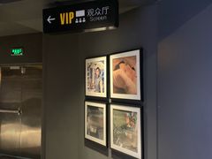 -新影联·华谊兄弟影院(望京店)