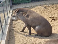 -西霞口神雕山野生动物世界