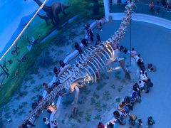 -辽宁古生物博物馆