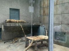 -秦岭欢乐世界