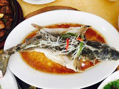 -海岛渔村大酒店(云霄路店)