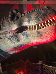 -恐龙探索乐园(磁器口店)