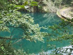 -庐山碧龙潭风景区