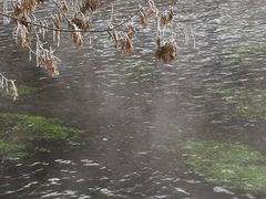 -水磨沟公园