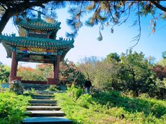 -北陵公园