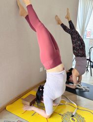 -酉嘉瑜伽YO+YOGA