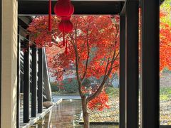 -禧宴Joyous Restaurant(禧园店)