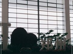 -郑州新郑国际机场