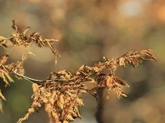 -白水寺森林公园