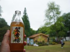 -杭州植物园