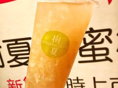树夏水蜜桃-树夏(鹭洲里店)