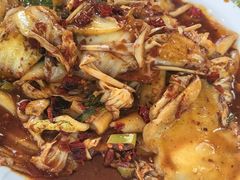 -福缘厚饺子