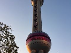 -东方明珠老上海8号餐厅(东方明珠广播电视塔店)